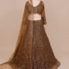Copper Glow Net Lehenga with Sequins Work in USA