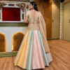 Buy Pastel Multicolour Embroidered Lehenga Choli Online in USA Back View