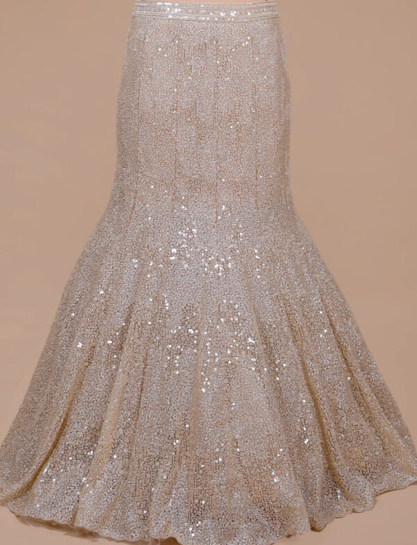 Champagne Lehenga in USA - Lehenga Skirt Detail