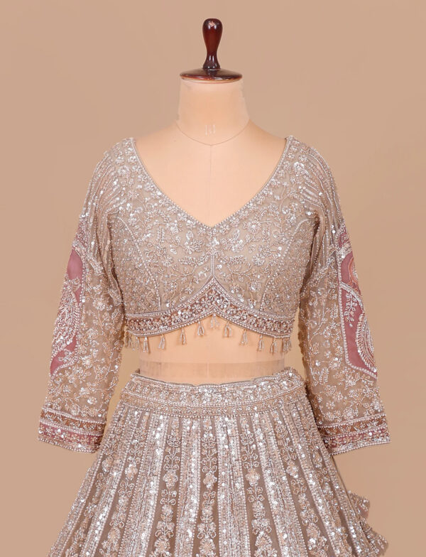 Chickoo Designer Lehenga Designer Blouse Chickoo Designer Lehenga in USA - Designer Blouse Front