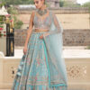 Sky Blue Designer Net Lehenga with Handcrafted Applique Side View in USA