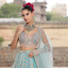Sky Blue Net Lehenga with Handcrafted Applique 45 Degree View in USA