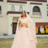 Princess Pink Net Lehenga Full View in USA Full-Length Princess Pink Net Lehenga with Dupatta in USA