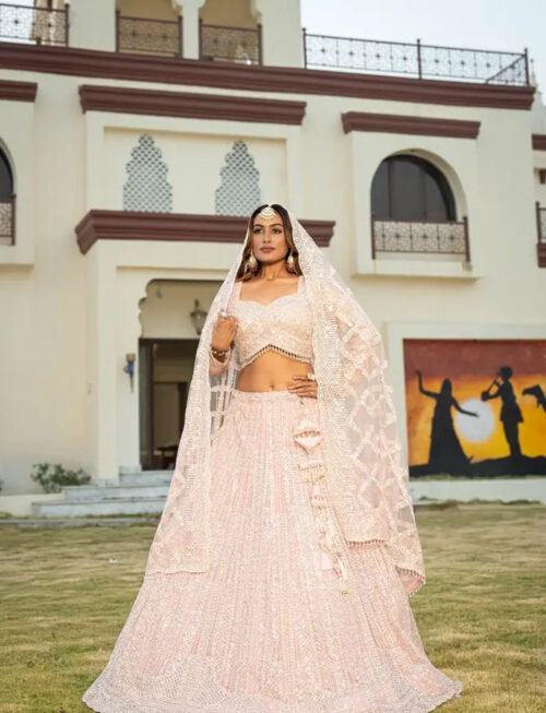 Full-Length Princess Pink Net Lehenga with Dupatta in USA