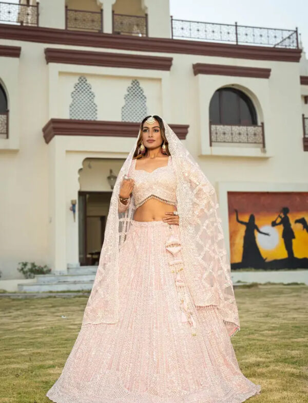 Princess Pink Net Lehenga Full View in USA Full-Length Princess Pink Net Lehenga with Dupatta in USA
