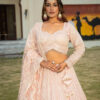 Princess Pink Net Lehenga with Dupatta in USA | Designer Wedding Wear Princess Pink Net Lehenga with Dupatta in USA Front View