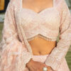 Princess Pink Net Lehenga Blouse Detail in USA Princess Pink Net Lehenga with Dupatta in USA Blouse Close-Up